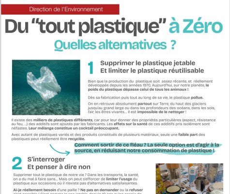 Du "tout plastique" à zéro, quelles alternatives